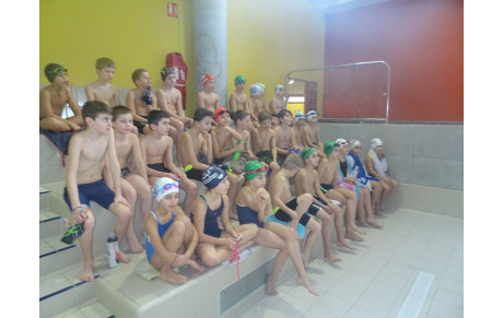 PREMIER STAGE AVENIRS 2019